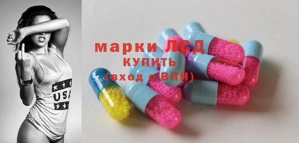 гашик Алексин