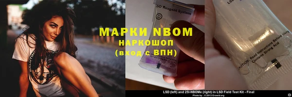 гашик Алексин