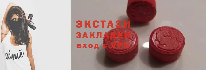гашик Алексин