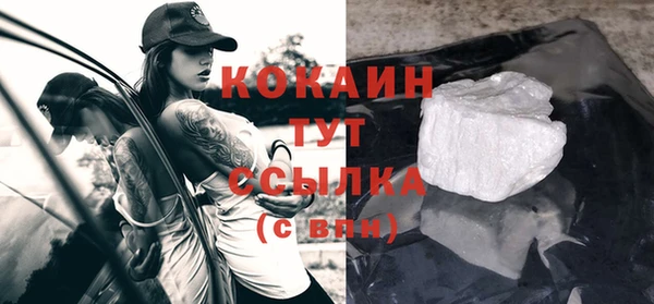 тгк Алзамай