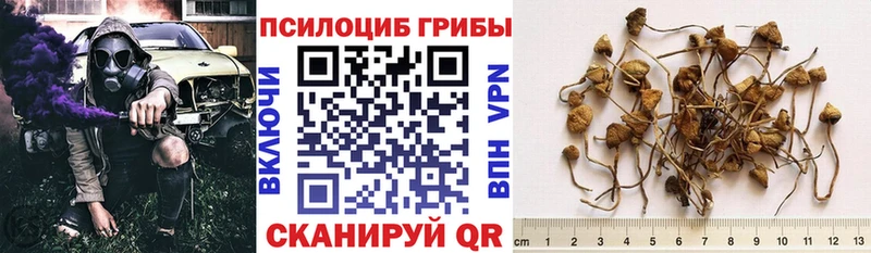 Псилоцибиновые грибы Psilocybine cubensis  Купить  Верхняя Салда 